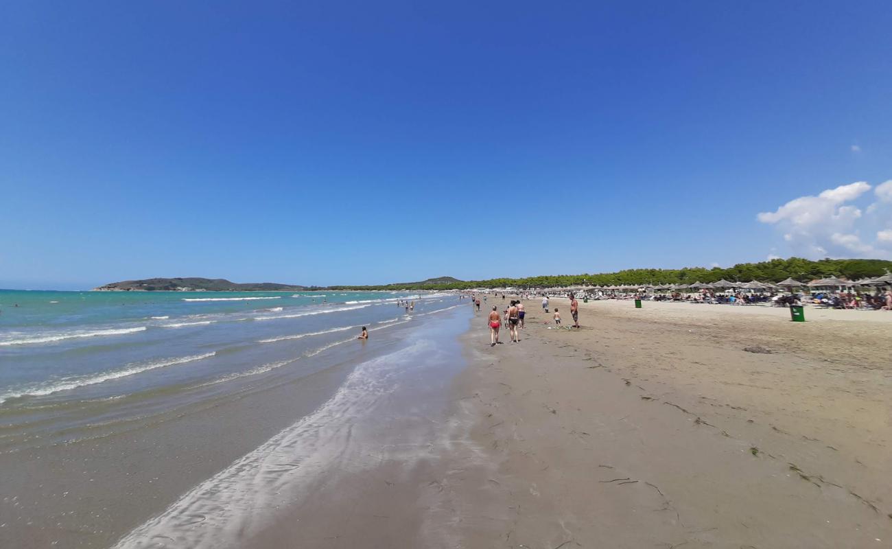 Photo of Narta beach with brown fine sand surface