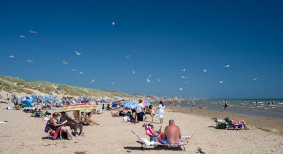 Camber Sands