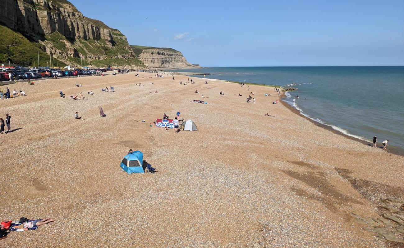 Photo of Hastings Beach with light fine pebble surface