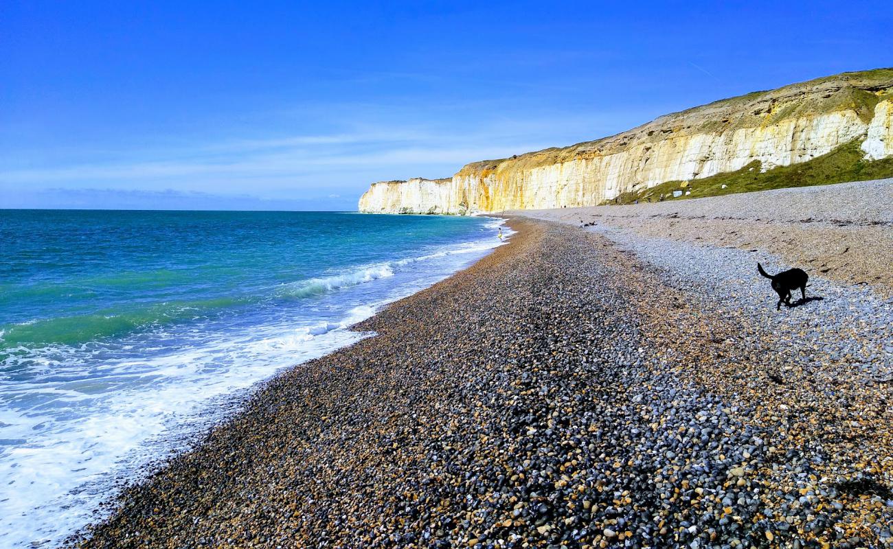 Photo of Newhaven beach with bright sand & rocks surface