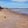 Dawlish Town beach