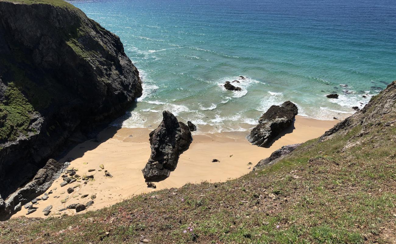 Photo of Butterhole beach with bright sand surface