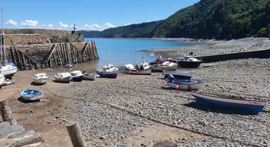 Clovelly beach