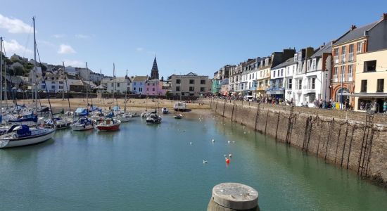 Ilfracombe Harbour