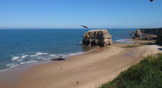 Marsden beach