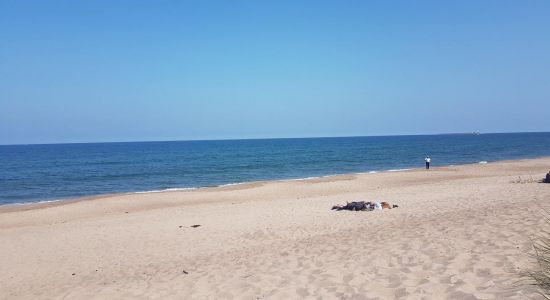 Warkworth beach