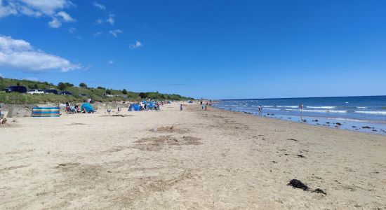 Alnmouth beach