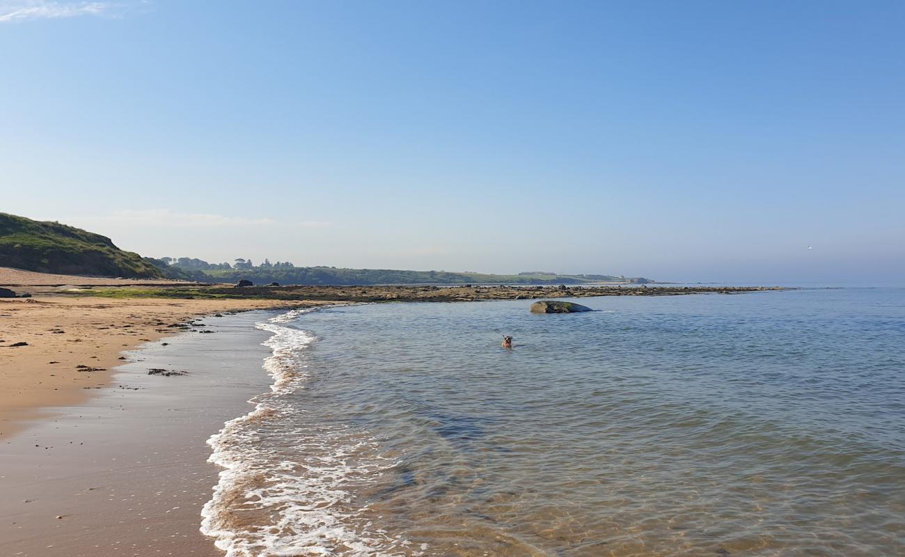 Photo of Longhoughton beach with bright sand surface