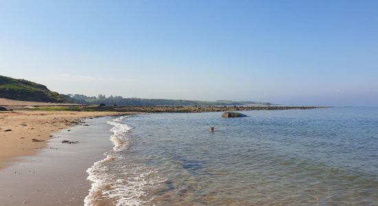 Longhoughton beach