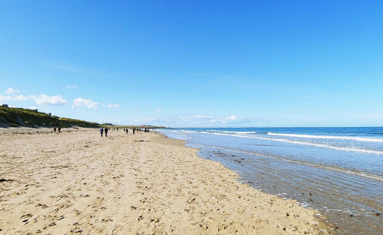 Photo of North Sunderland beach with bright sand surface