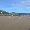 Traeth Abermaw beach