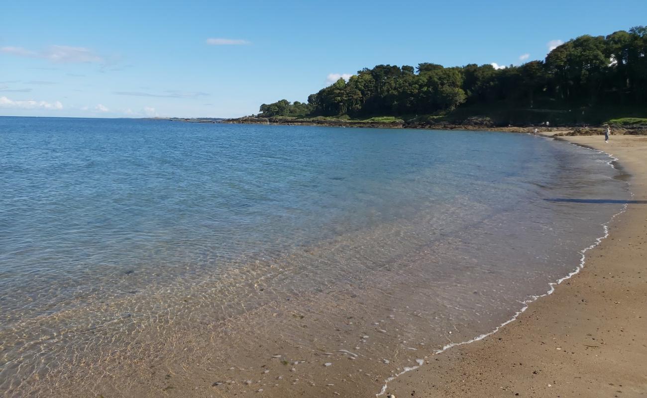 Photo of Crawfordsburn Beach with bright sand surface