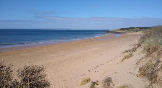 Gullane beach