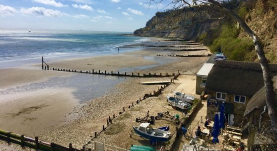 Shanklin Beach,Luccombe End