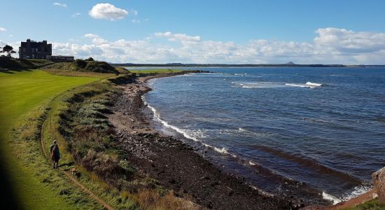 Dunbar Beach Access Path 2