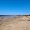 Seton Sands Beach