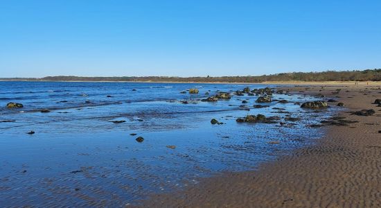 Seton Sands Beach