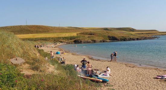 Elie Holiday Park Beach