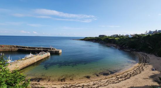 Crail Beach Fossils Beach