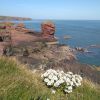 Seaton Cliffs Beach