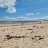 Dornoch Beach