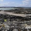 Arisaig Beach II