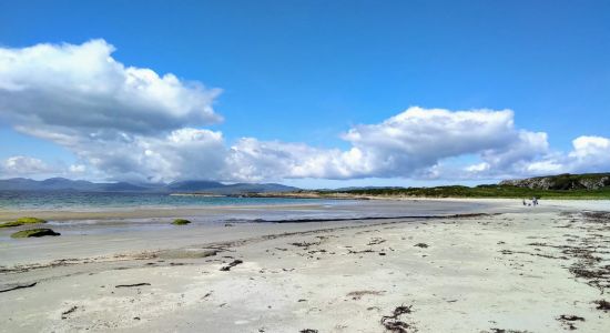 Kilmory Beach