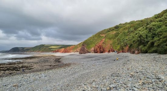 Peppercombe Beach