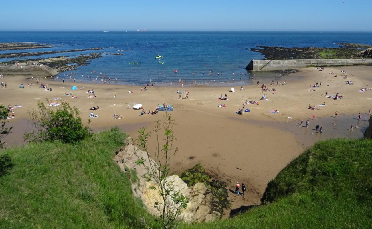 Photo of Cullercoats Beach with bright sand surface