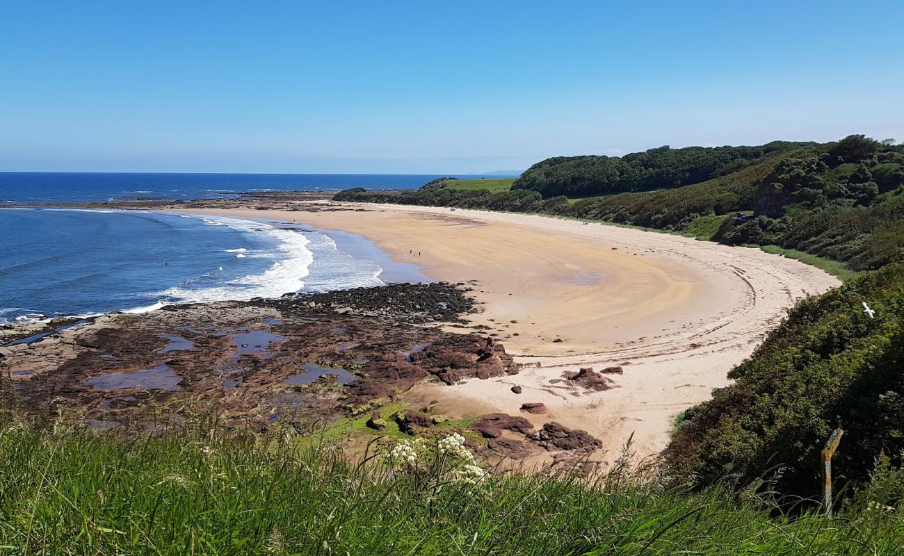 Photo of Seacliff Beach with bright sand surface