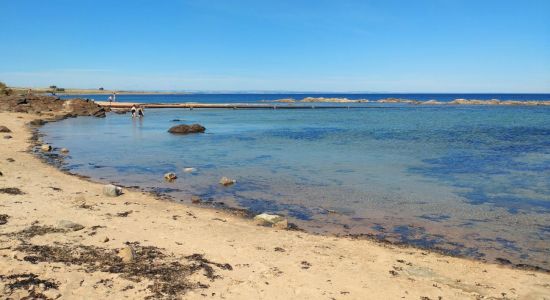 Kingsbarn Beach