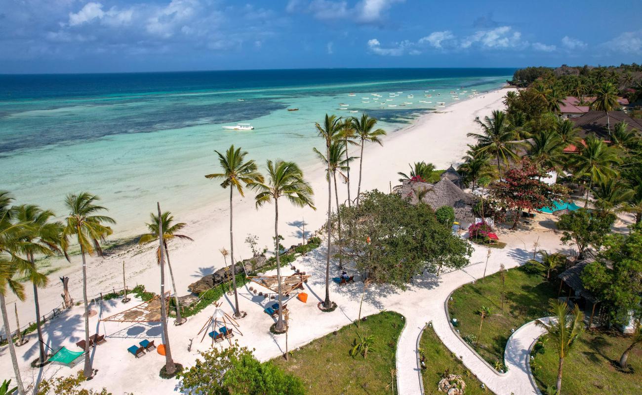 Photo of Kizimkazi Beach with bright fine sand surface