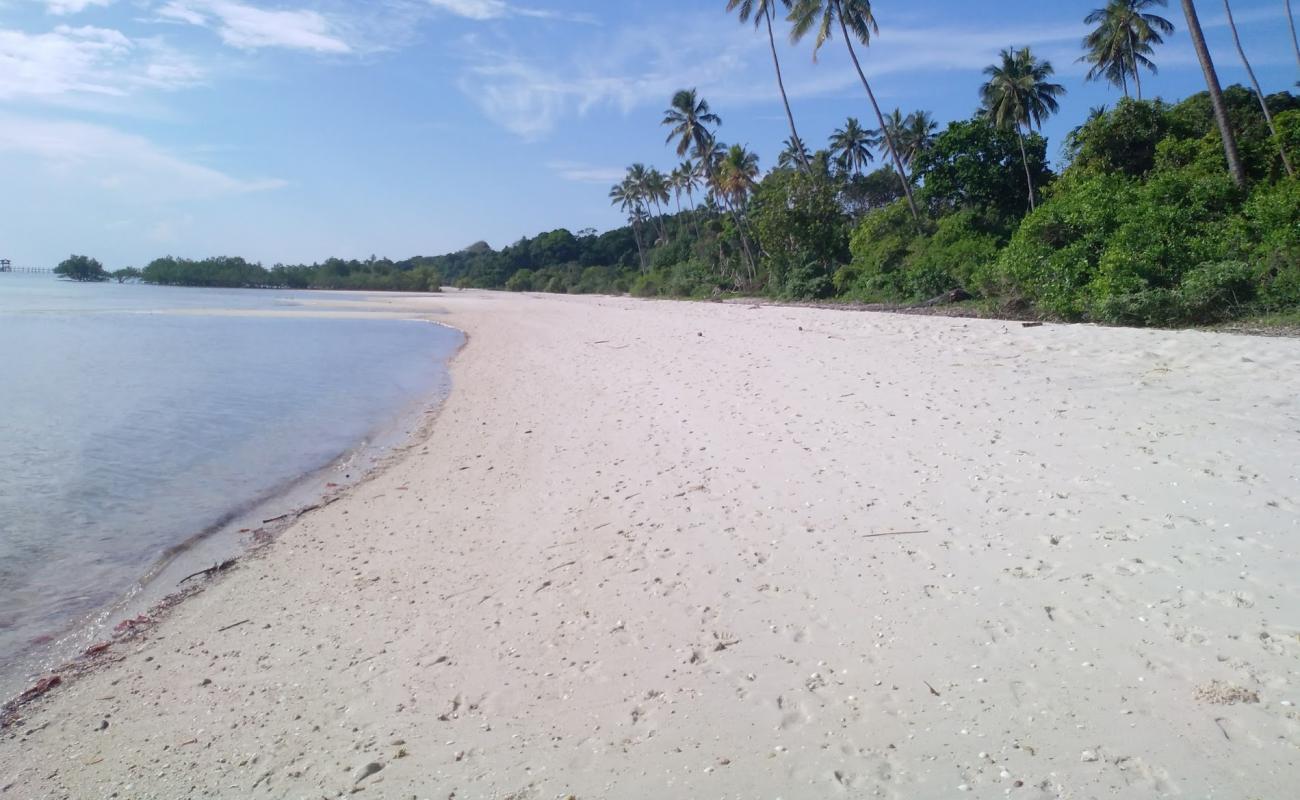 Photo of Fundu Lagoon with white fine sand surface