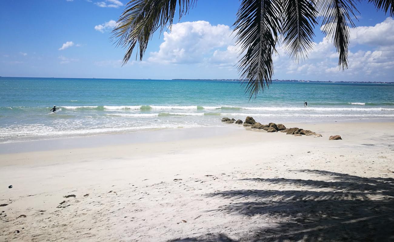 Photo of Mbongoland beach with bright sand surface