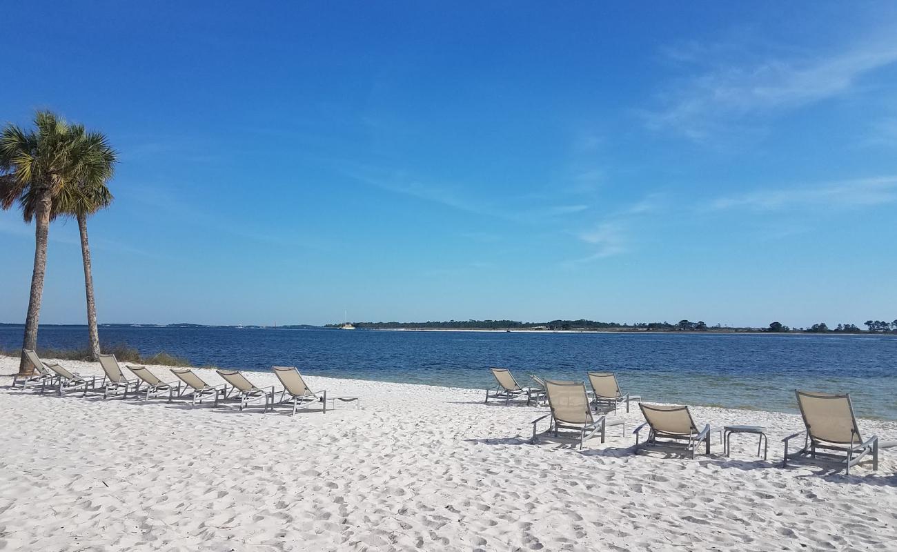 Photo of Alligator Point Beach with white sand surface