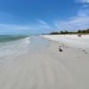 Fort desoto beach