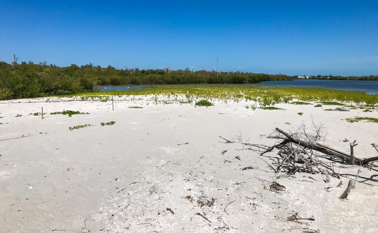 Photo of Silver Key beach with bright shell sand surface