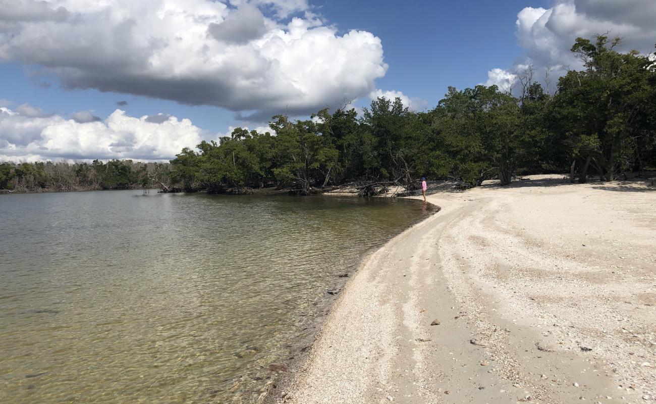 Photo of Rabbit Key with light sand &  pebble surface