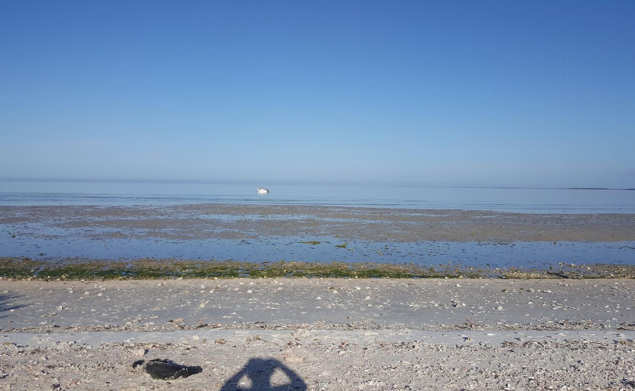 Photo of Pavilion Key with light sand &  pebble surface