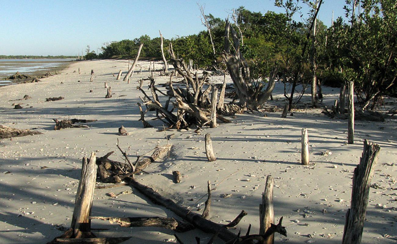 Photo of Hog Key with bright sand surface