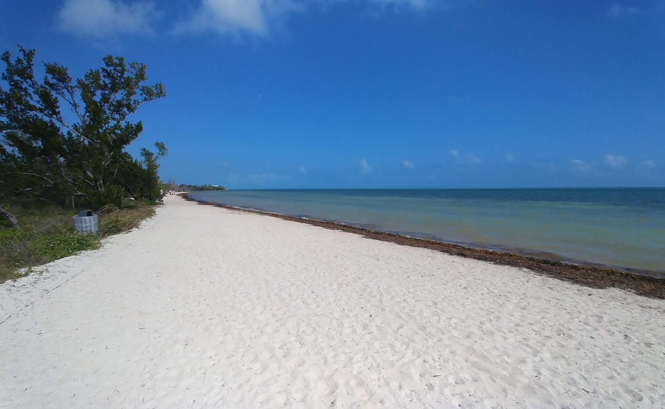 Photo of Cocoa Plum beach with bright sand surface