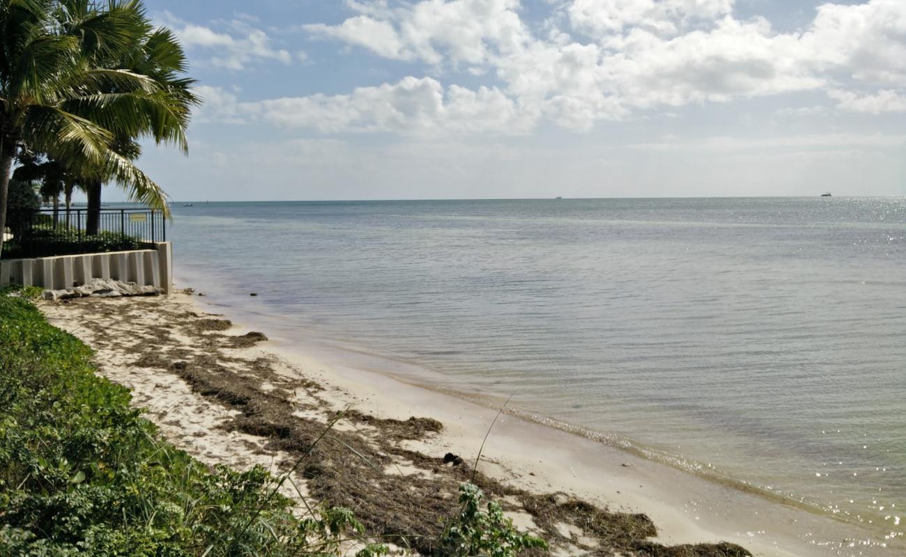 Photo of Rest beach with bright sand surface