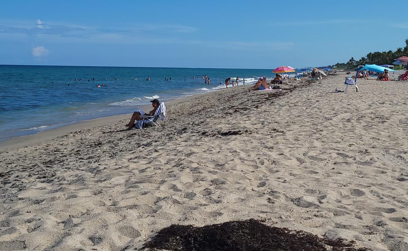 Photo of Ocean Ridge Hammock Park with bright sand surface