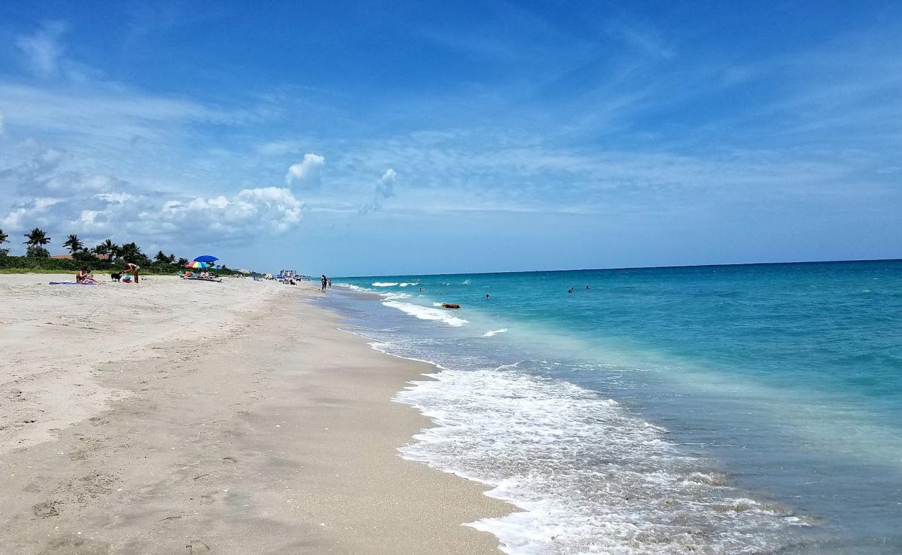 Photo of Jupiter Dog beach with bright sand surface