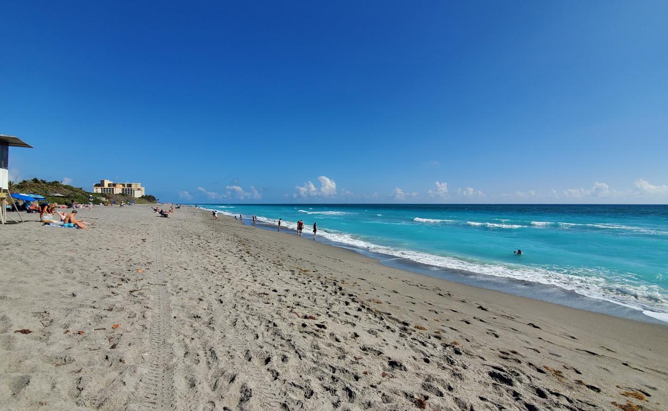 Photo of Lazy Loggerhead beach with bright sand surface