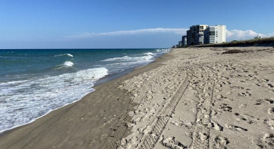 Dollman Park beach