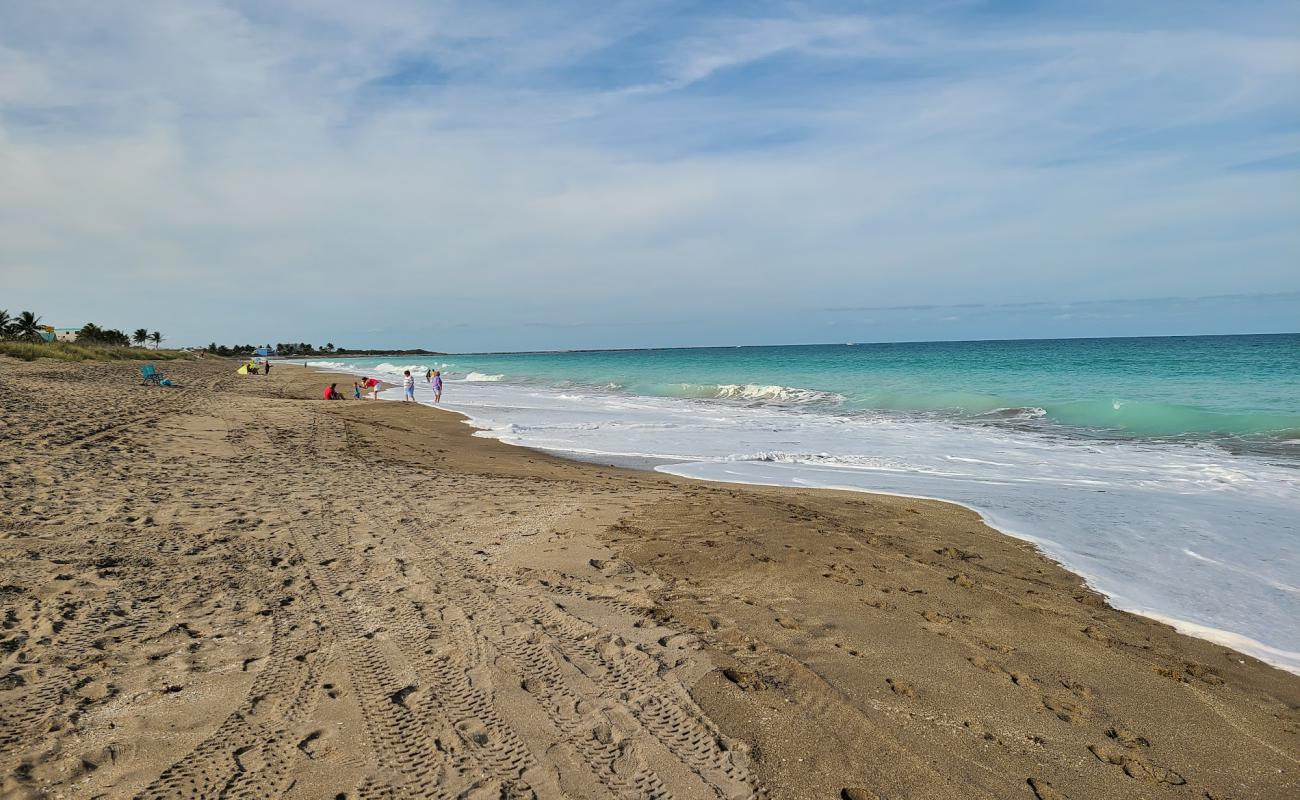 Photo of Porpoise beach with bright shell sand surface