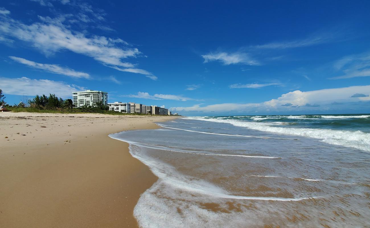 Photo of Sandy Toes beach with bright sand surface