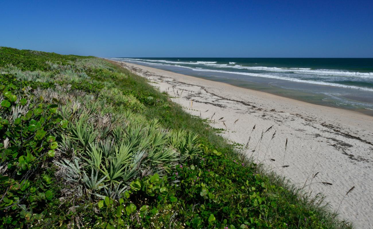 Photo of Playalinda beach with bright sand surface