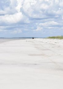 Sapelo Island